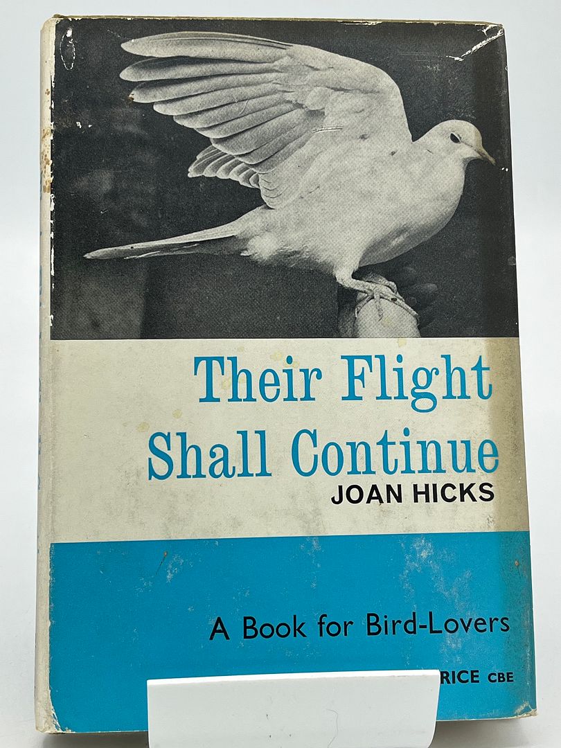 Their Flight Shall Continue
