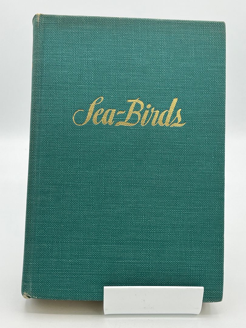 Sea-Birds