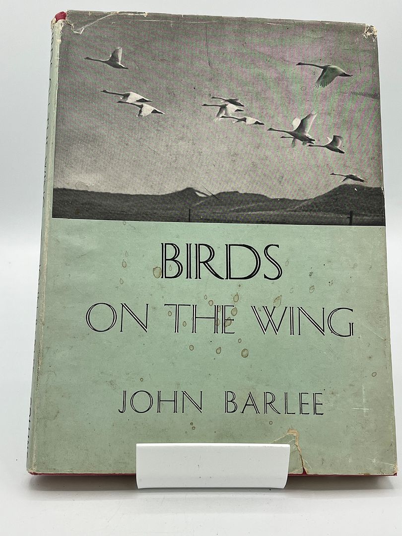 Birds On The Wing