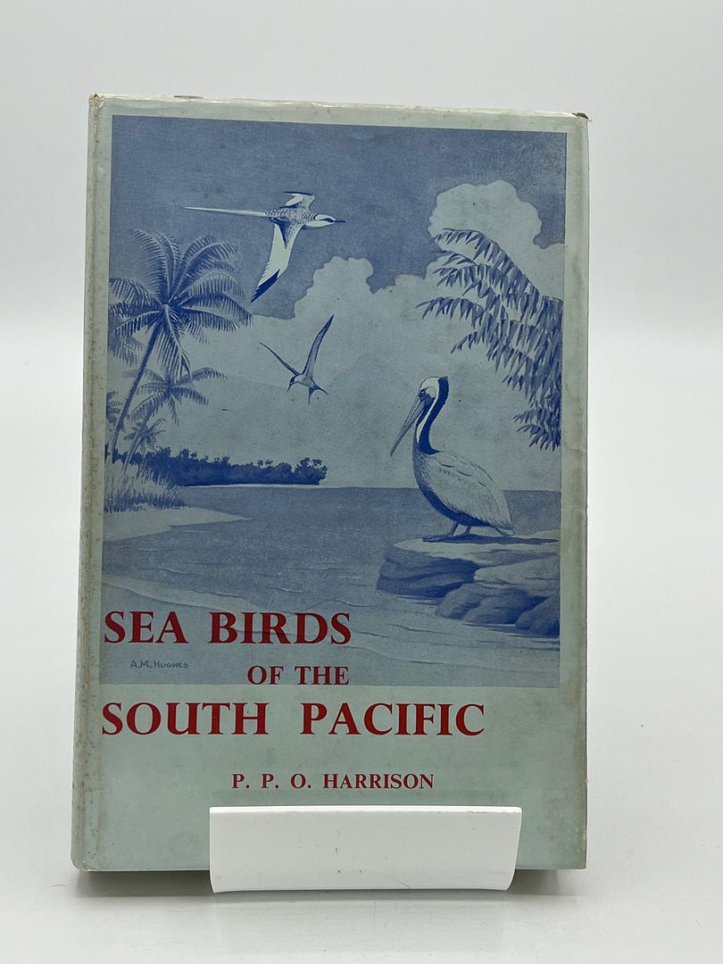 Sea Birds of The South Pacific Ocean