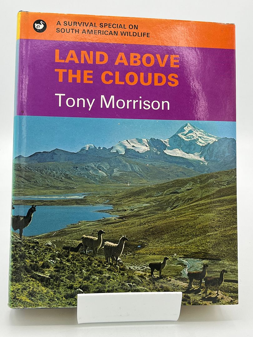 Land Above the Clouds: 