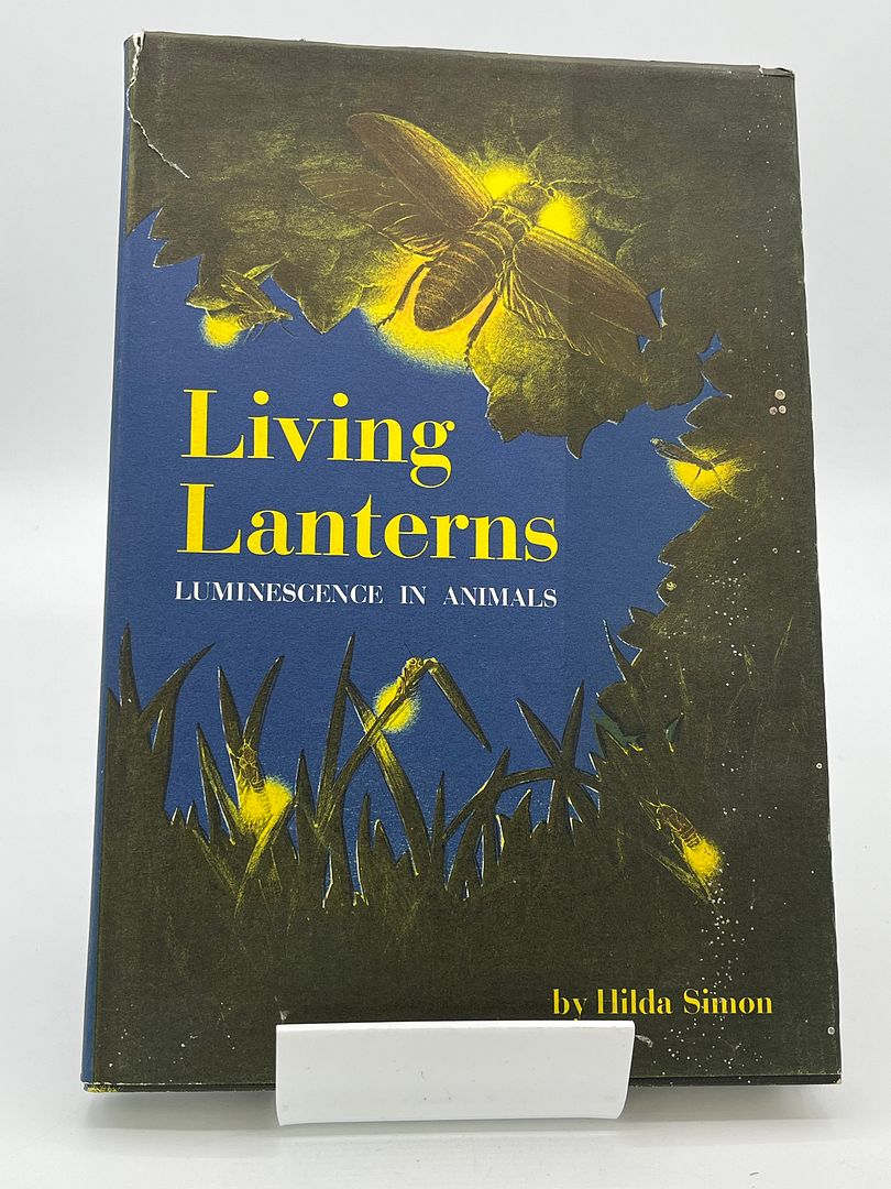 Living lanterns: 2