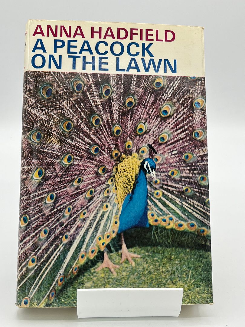 A Peacock On The Lawn