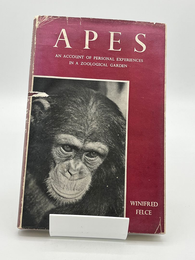 Apes