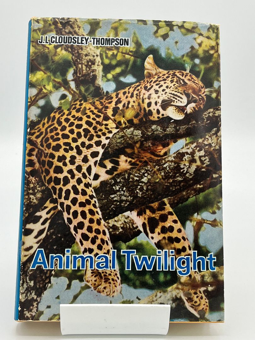 Animal Twilight