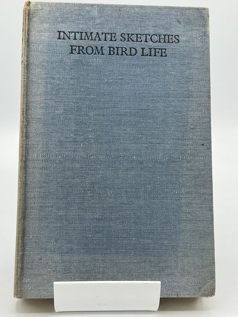 Intimate Sketches From Bird Life