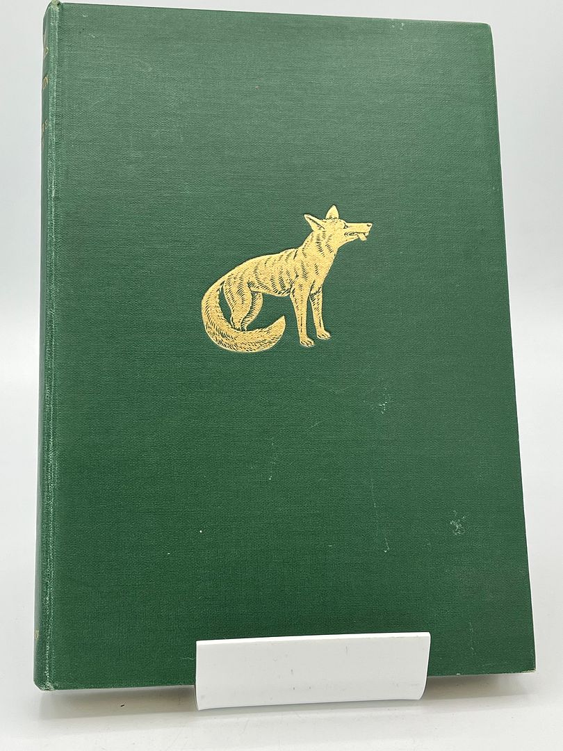 Wild Animals In Britain