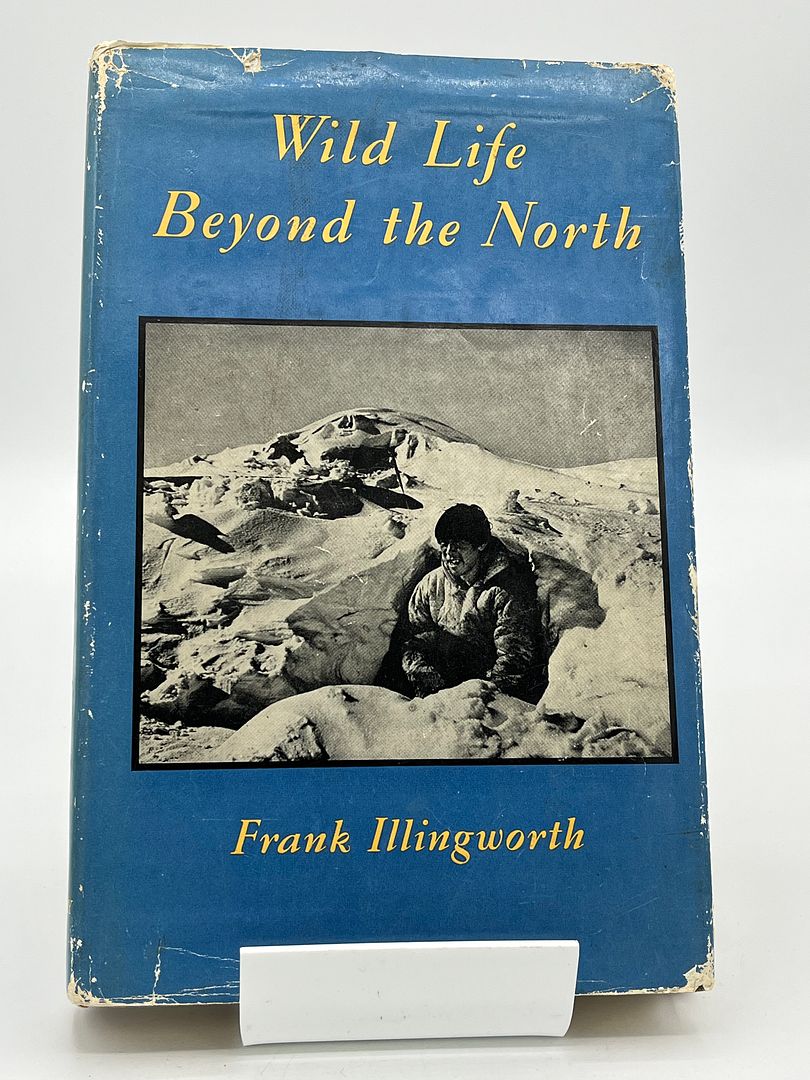 Wild Life Beyond The North