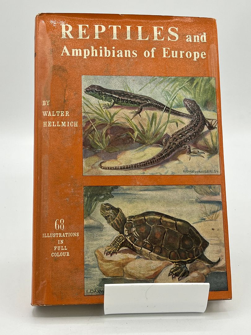 Reptiles And Amphibians Of Europe