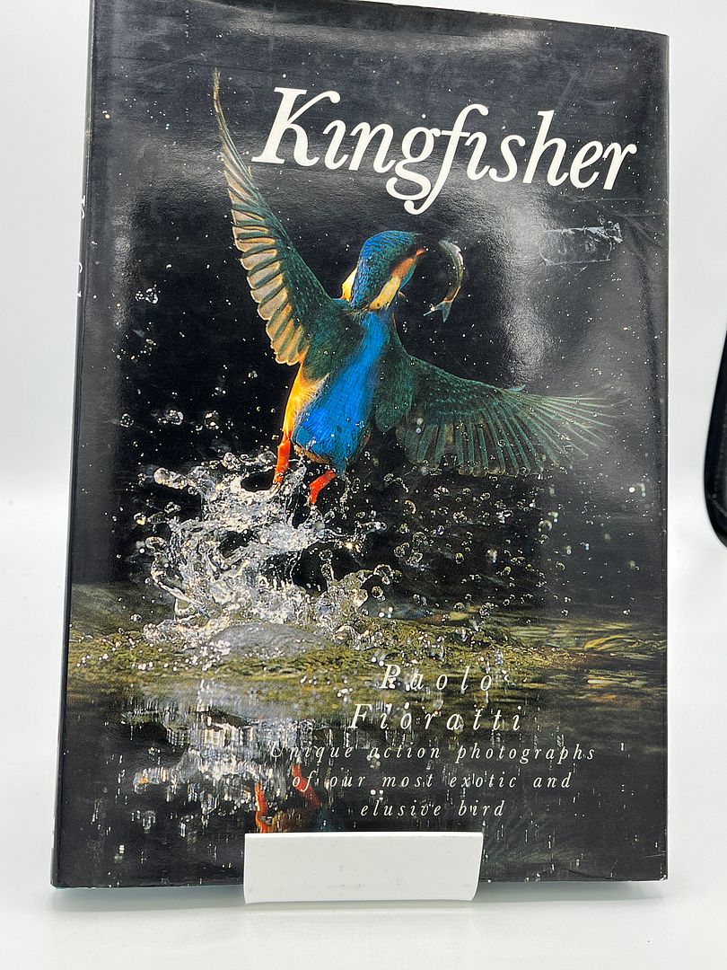 Kingfisher/Unique Action Photographs of Our Most Exotic and Elusive Bird