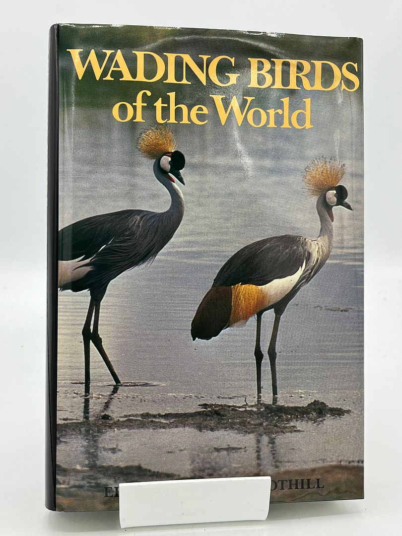 Wading birds of the world