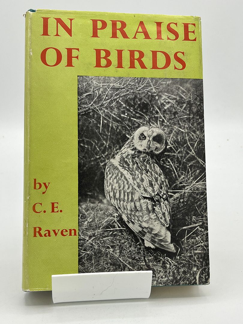 In Praise of Birds