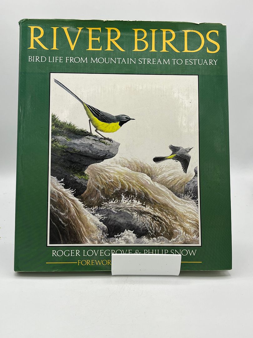 River Birds: Bird Life from Mountain Stream to Estuary