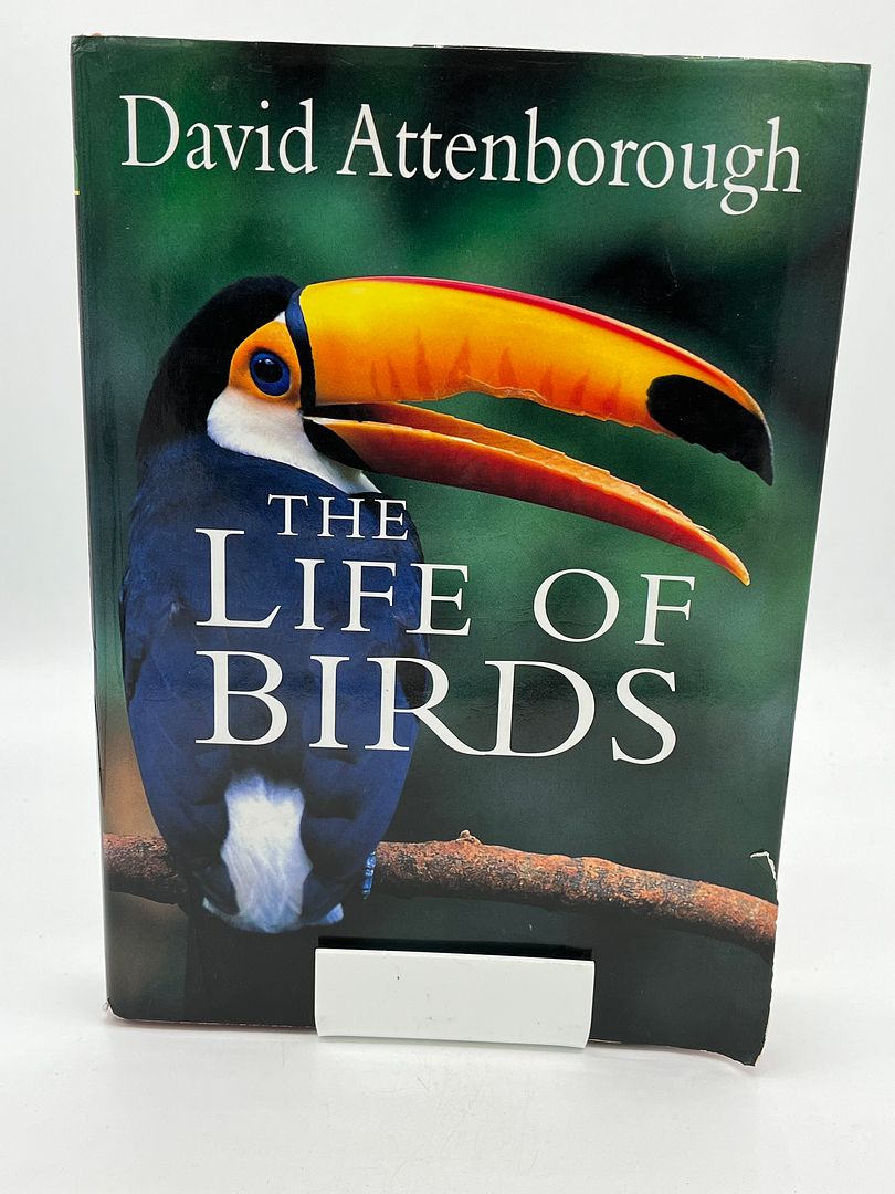 The Life of Birds