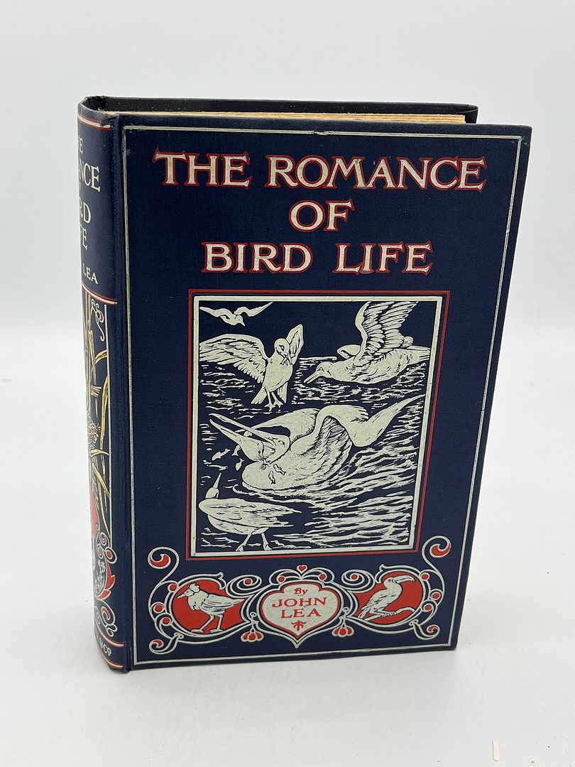 The Romance of Bird Life
