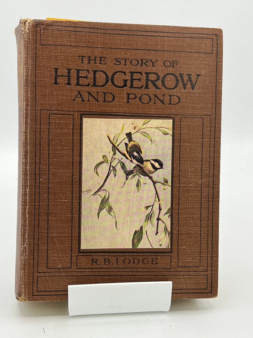 The Story of Hedgerow and Pond