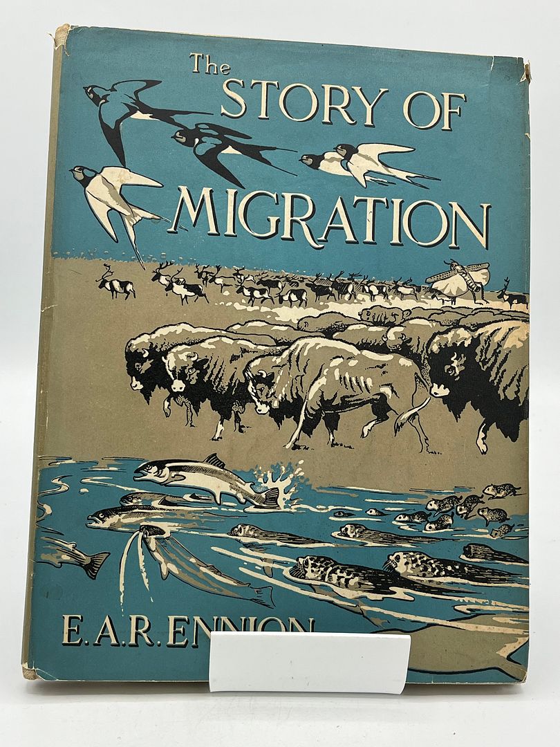 The Story of Migration