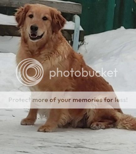 Photobucket - Video and Image Hosting