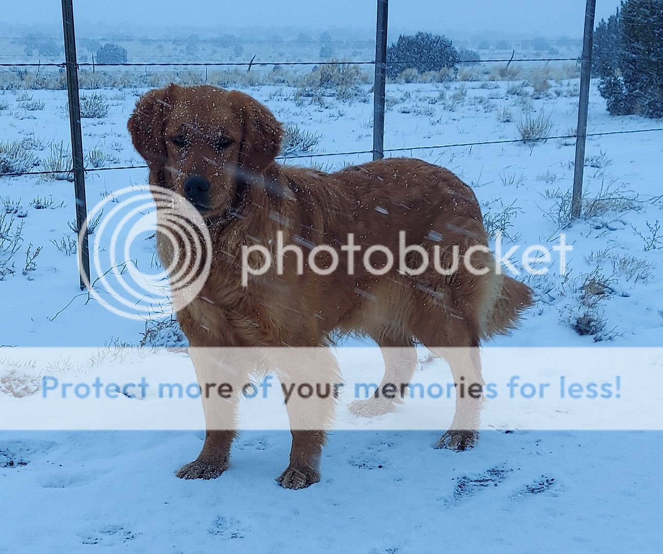 Photobucket - Video and Image Hosting