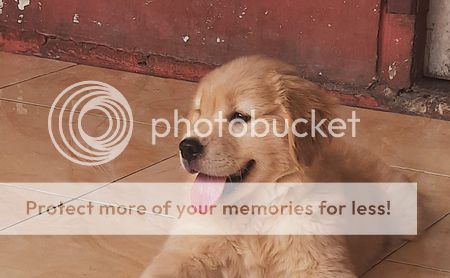 Photobucket - Video and Image Hosting