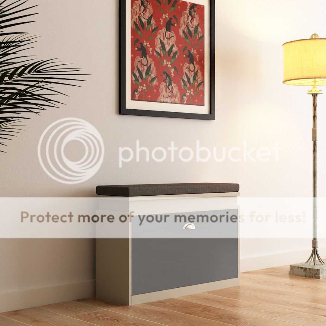 Organize meuble banc de rangement a chaussure coffre avec coussin