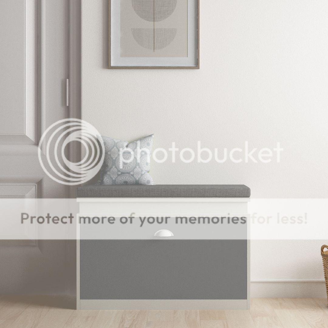 Organize meuble banc de rangement a chaussure coffre avec coussin