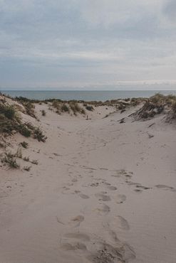mathias-p-r-reding-67LYCBPIph8-unsplash