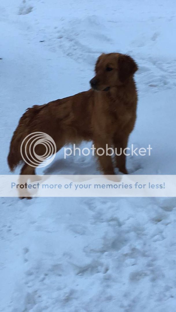 Photobucket - Video and Image Hosting