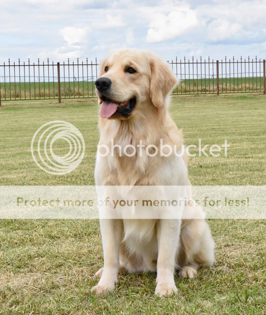 Photobucket - Video and Image Hosting