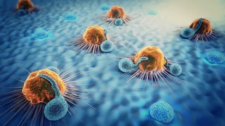 التحصين المناعي لمرض الأكياس المائية عن طريق تحفيز الخلايا اللمفاوية المساعدة من النوع الأول