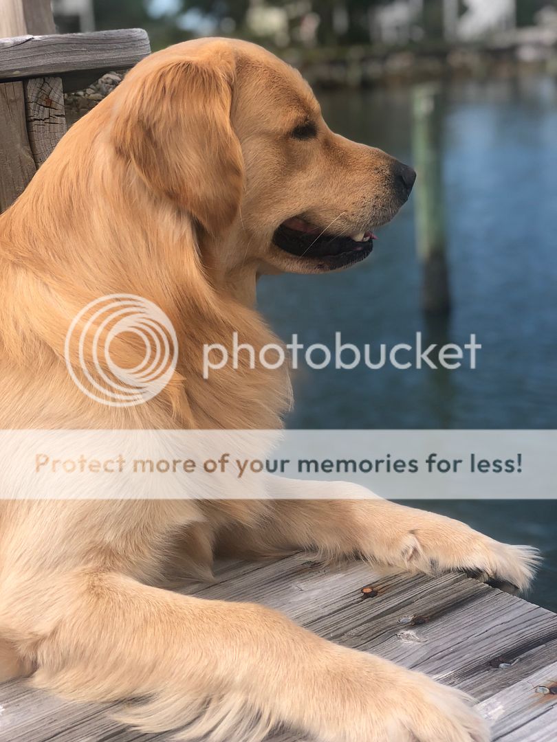 Photobucket - Video and Image Hosting