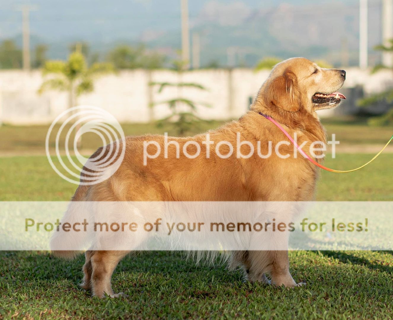 Photobucket - Video and Image Hosting