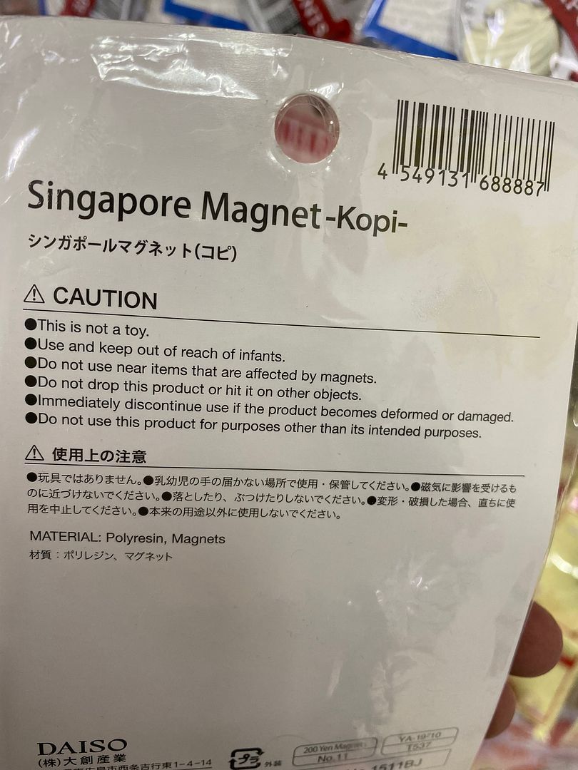 Singapore Magnet 
