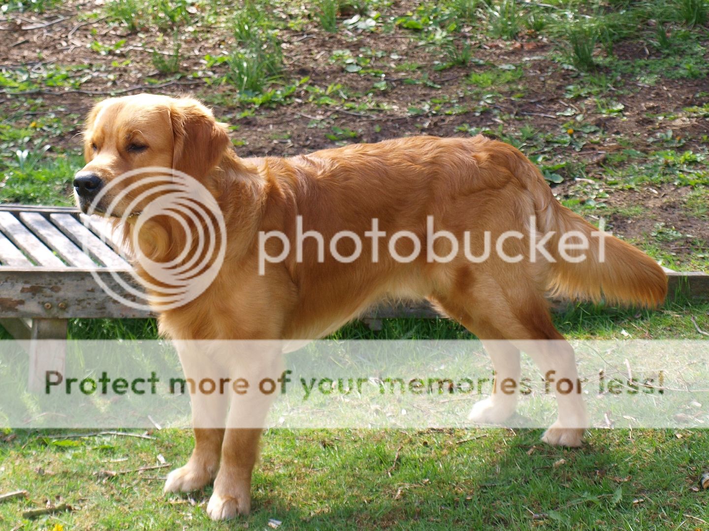 Photobucket - Video and Image Hosting