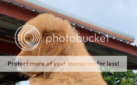 Photobucket - Video and Image Hosting