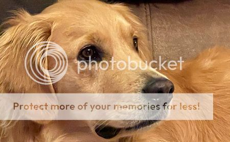 Photobucket - Video and Image Hosting