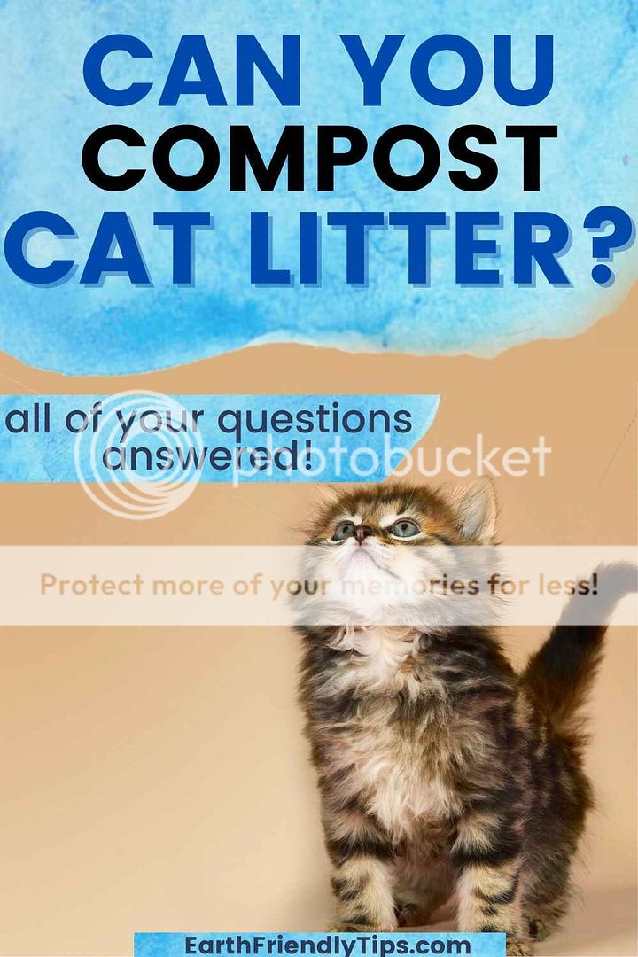 Reduce Waste With Biodegradable EcoFriendly Cat Litter Bags Earth
