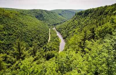 A view of Pine Creek Gorge from Colton Point State Park