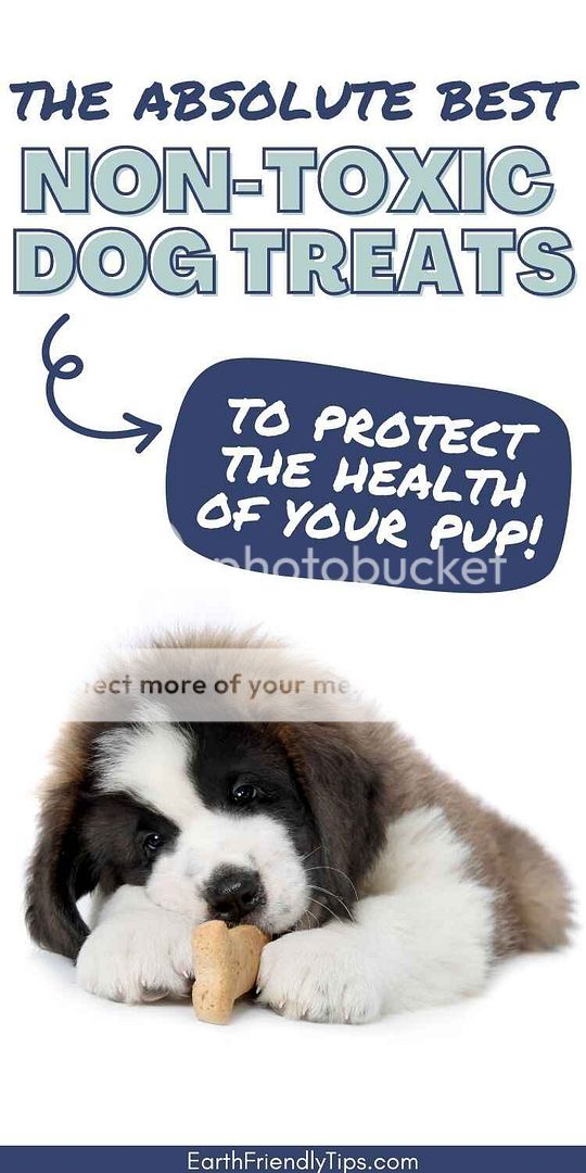 Edible Dandelion Foraging Tray For Small Animals 100% Natural Feed Non