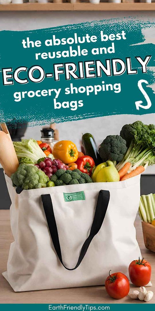 Picture of reusable shopping bag filled with food and sitting on countertop in kitchen with text overlay The Absolute Best Reusable and Eco-Friendly Grocery Shopping Bags