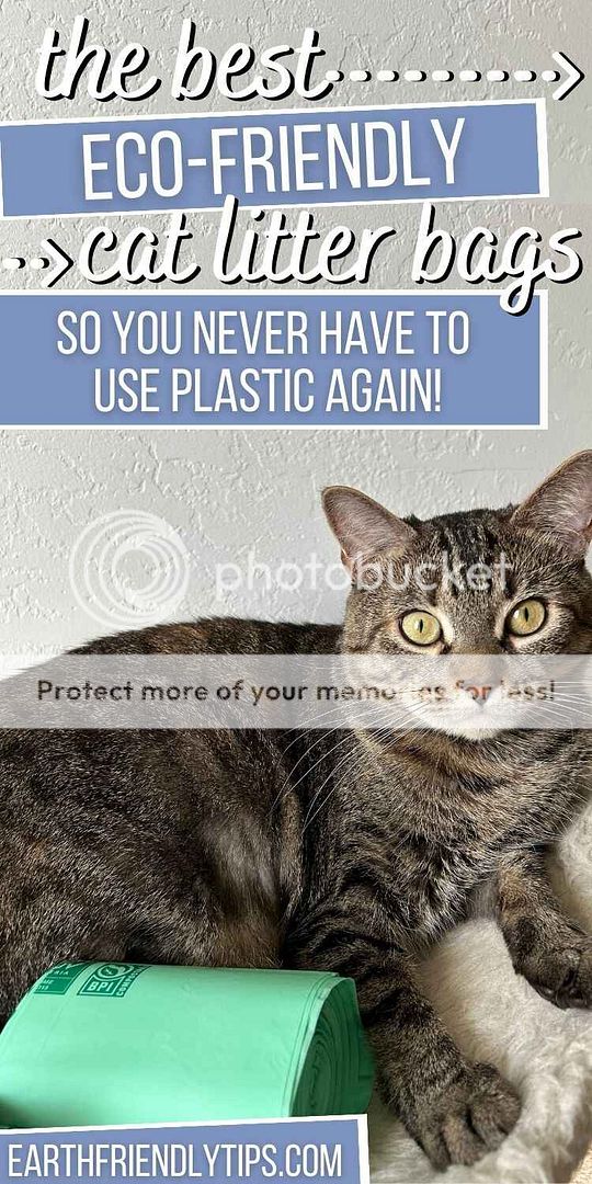 Reduce Waste With Biodegradable EcoFriendly Cat Litter Bags Earth
