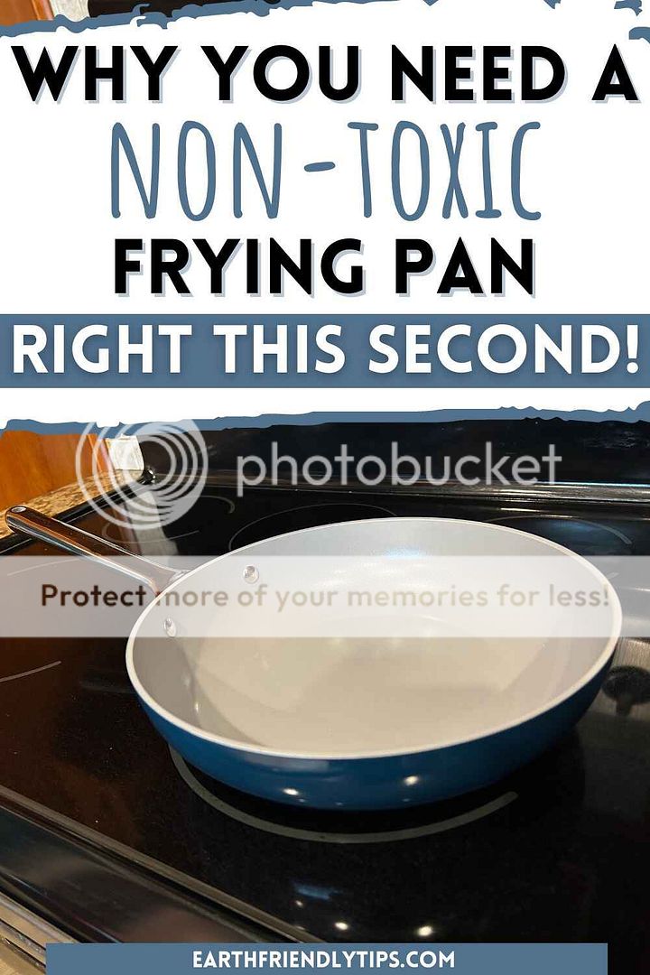 The Best Nonstick and NonToxic Fry Pan for Safer Cooking Earth