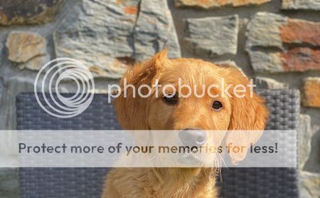 Photobucket - Video and Image Hosting