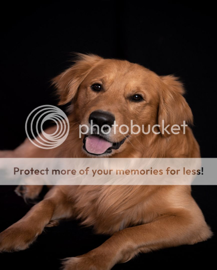 Photobucket - Video and Image Hosting