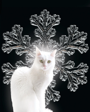 WHITE CAT-SNOWFLAKE