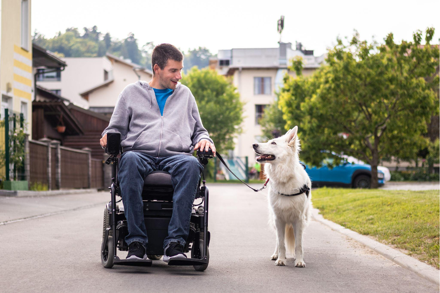  dog walks alongside man in wheelchair