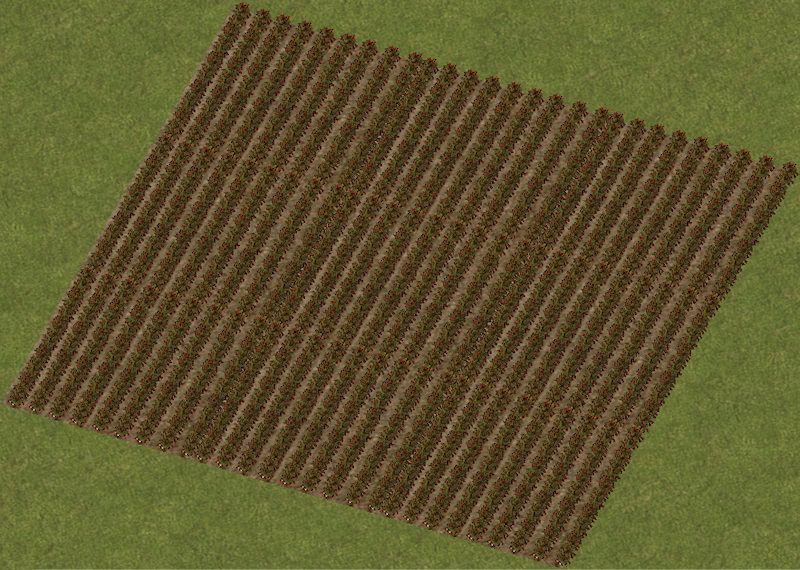 StrawberryField.jpg