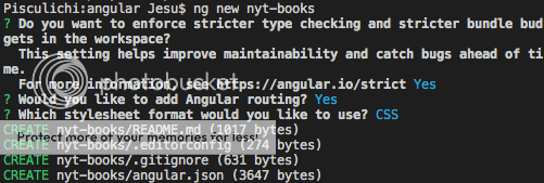 Angular new project - options alt text