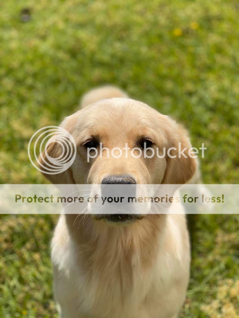 Photobucket - Video and Image Hosting