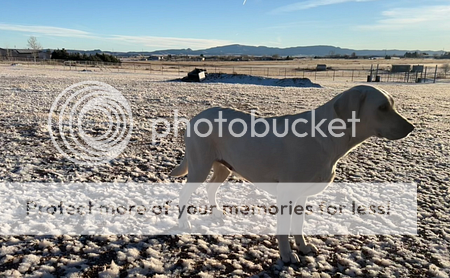 Photobucket - Video and Image Hosting